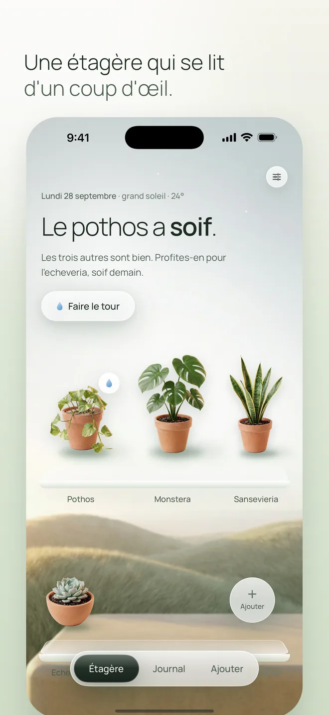 L'étagère : le pothos a soif