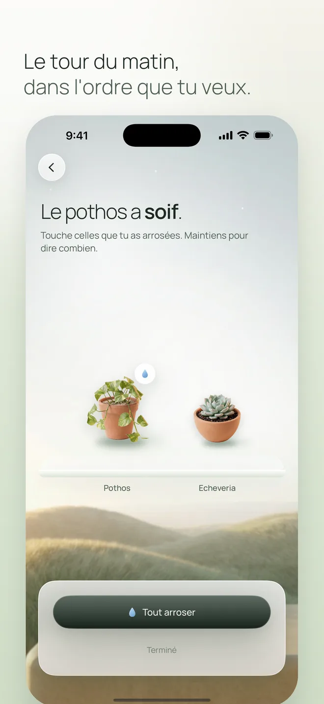 Le tour du matin