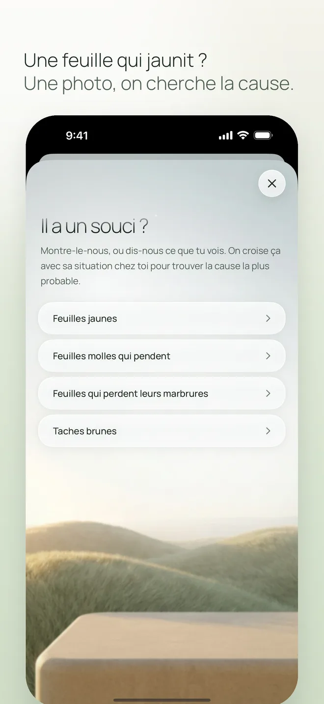 Le diagnostic : il a un souci ?