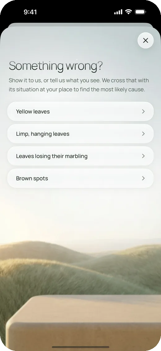 Something wrong? The symptoms to choose from
