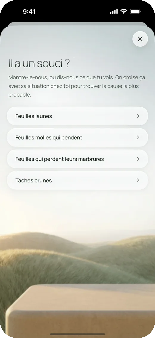 Il a un souci ? Les symptômes à choisir